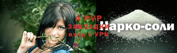 ешки Новодвинск
