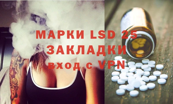 гашик Новозыбков