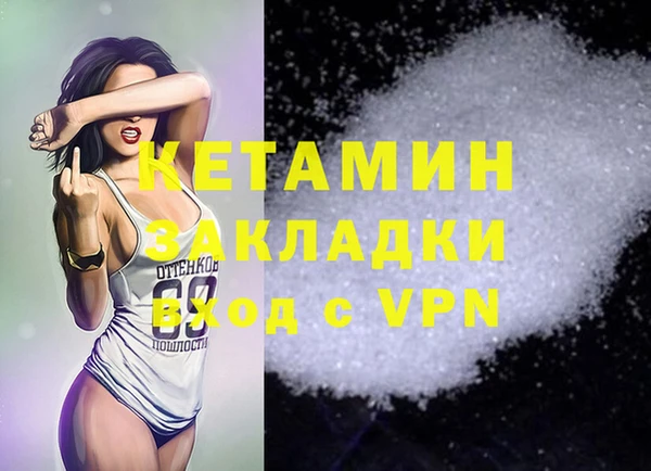 ешки Новодвинск