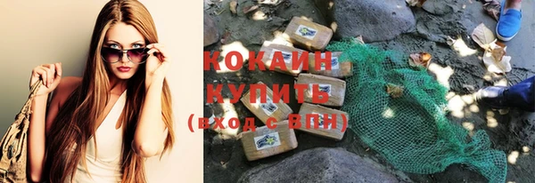гашик Новозыбков