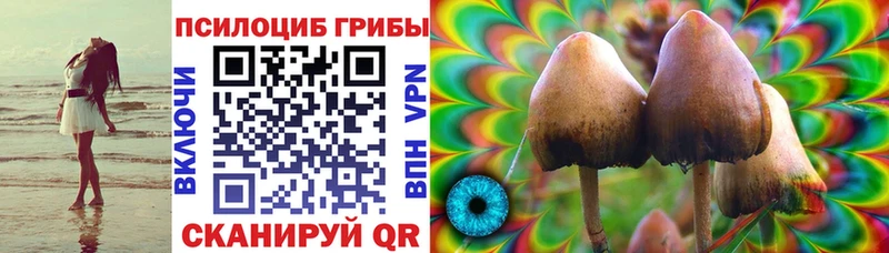 Галлюциногенные грибы Cubensis  Новая Ляля 